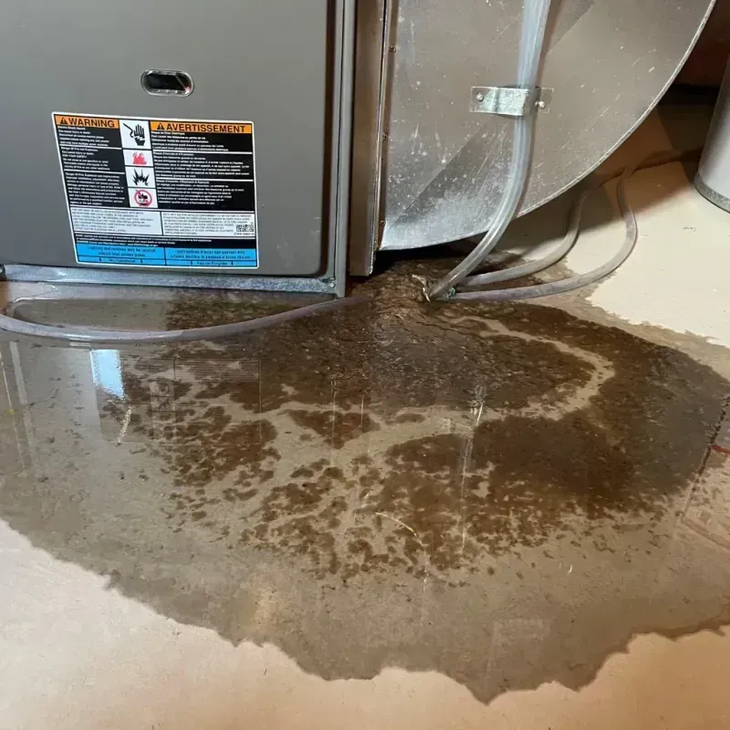 Appliance Leak Cleanup in North Fair Oaks, CA